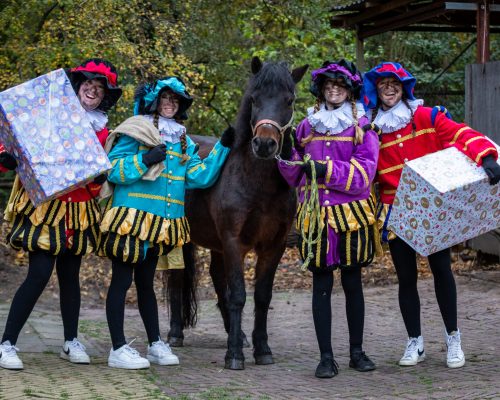 19-11-2022 Pietendiploma halen op kinderboerderij Holywood. Copyright: Joey Bremer / 010fotograaf / JBMedia